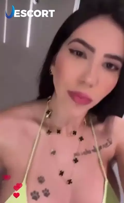 dsada dasd asd as